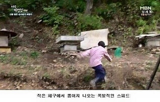 미세먼지2.jpg