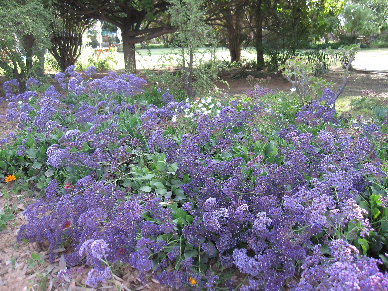 Cape Town July 2011 125.jpg