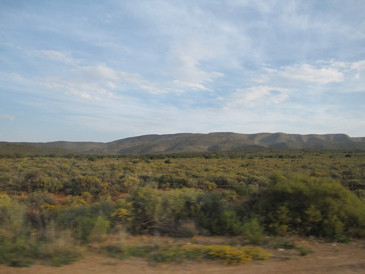 Cape Town July 2011 133.jpg