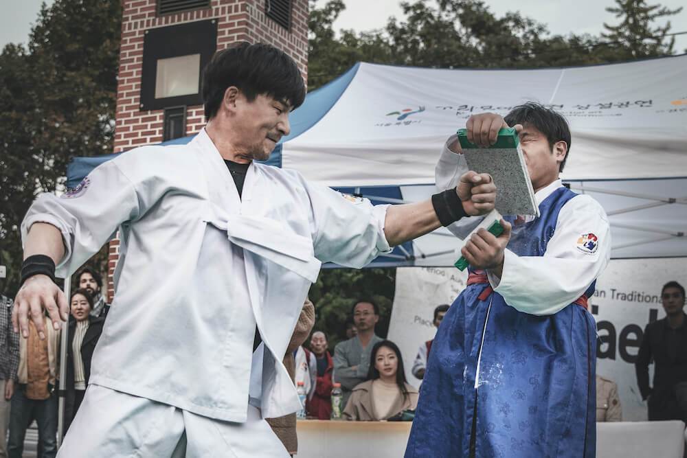 커리지인 택견 황인무2.jpg