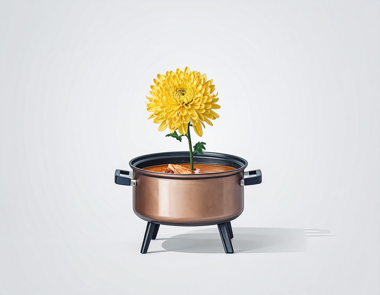 Firefly A single yellow chrysanthemum is in full bloom in the center of a bubbling kimchi stew pot.  (1).jpg
