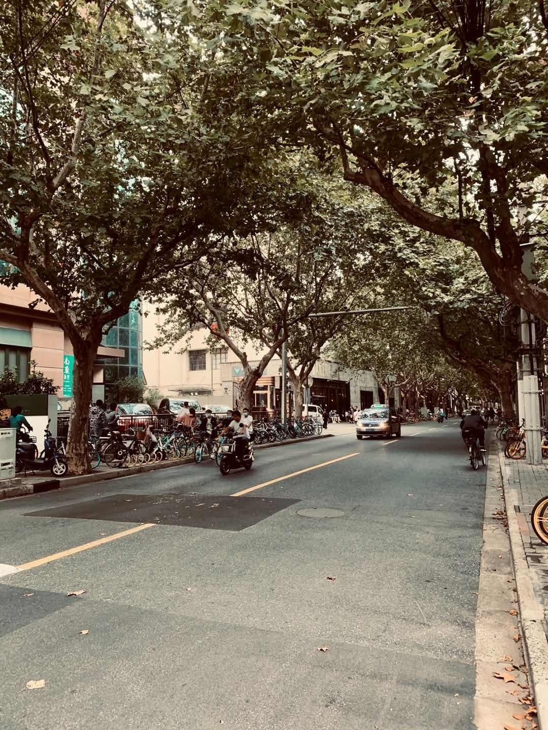 WeChat Image_20201011143950.jpg