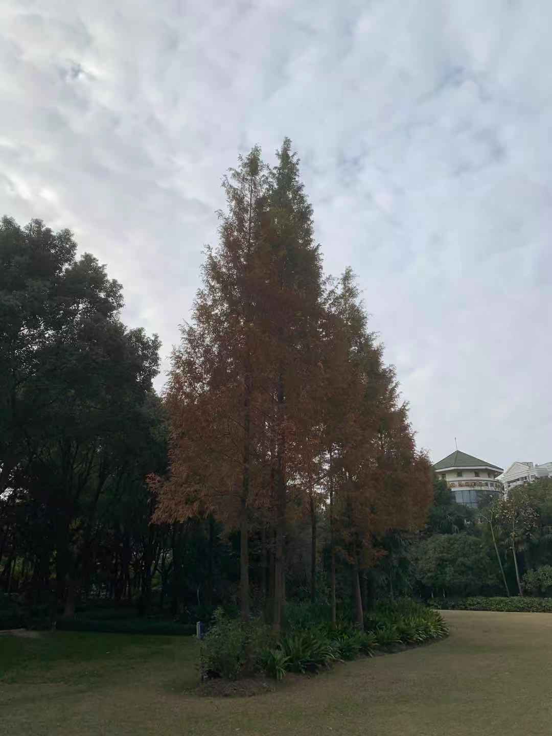 WeChat Image_20201212102521.jpg