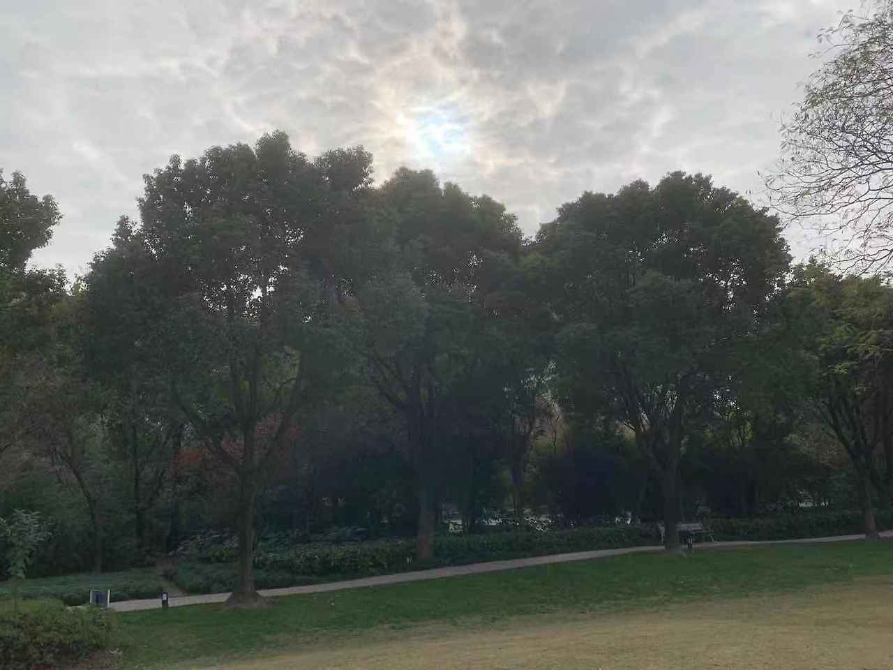 WeChat Image_20201212102531.jpg