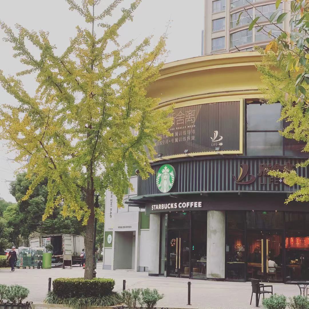 WeChat Image_20201121062529.jpg