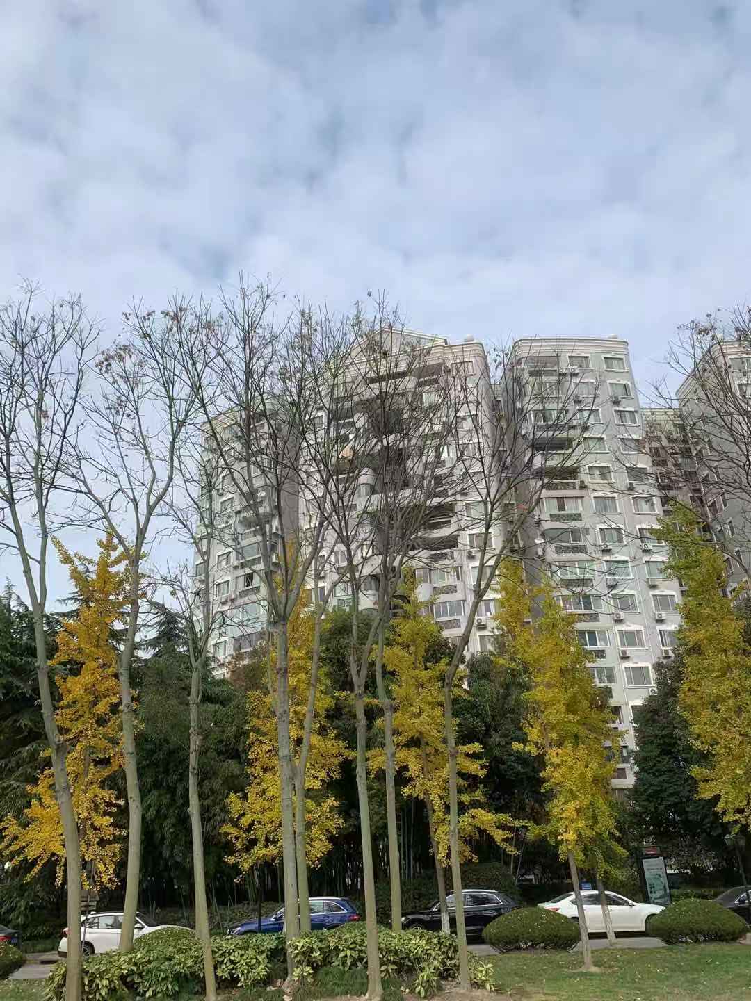 WeChat Image_20201212102526.jpg