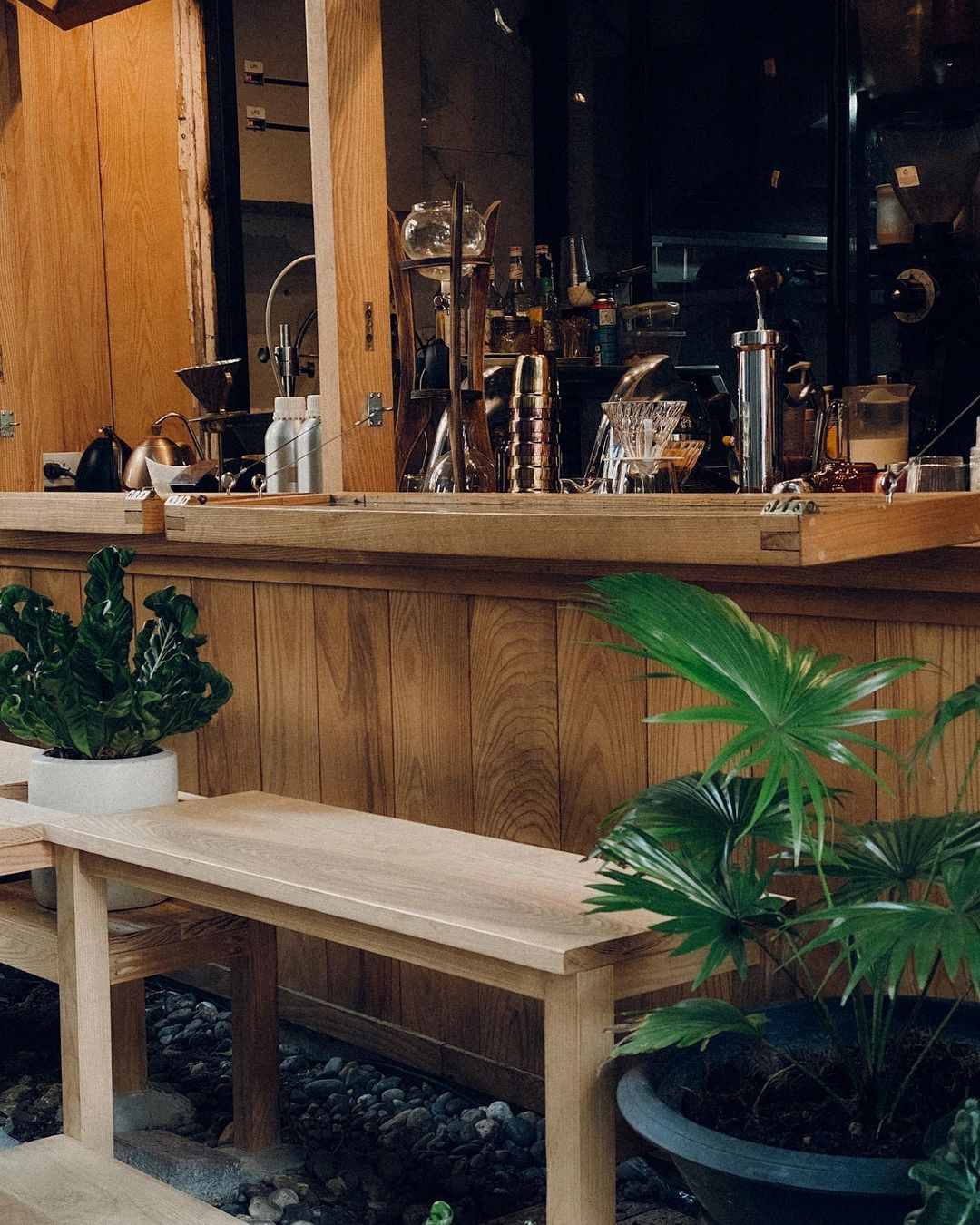 you might falling in love  #cafe #cafehoppingbkk #cafebkk #cat (1).jpg