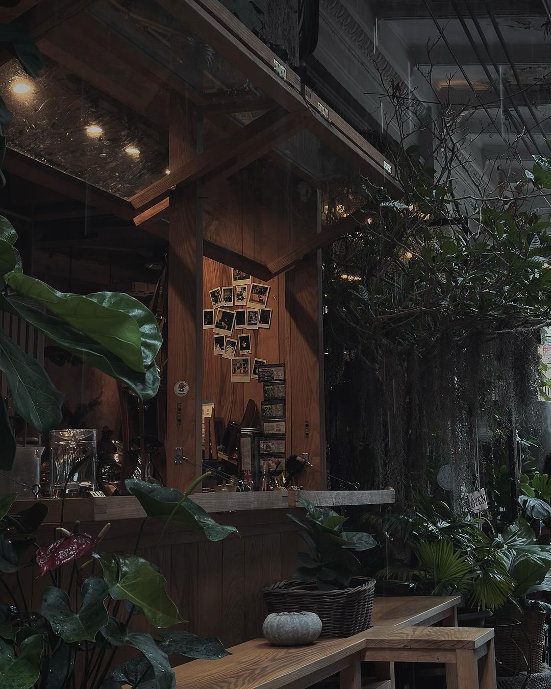 Take a break and enjoy at our cafe.  ️  #wallflowerscafe #cafe #cafehopping #cafethailand #bangkokcafe #soinanachinatown #cafeoftheday.jpg