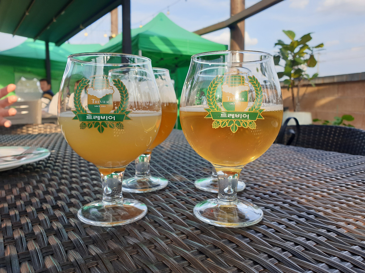 트레비어2.jpg