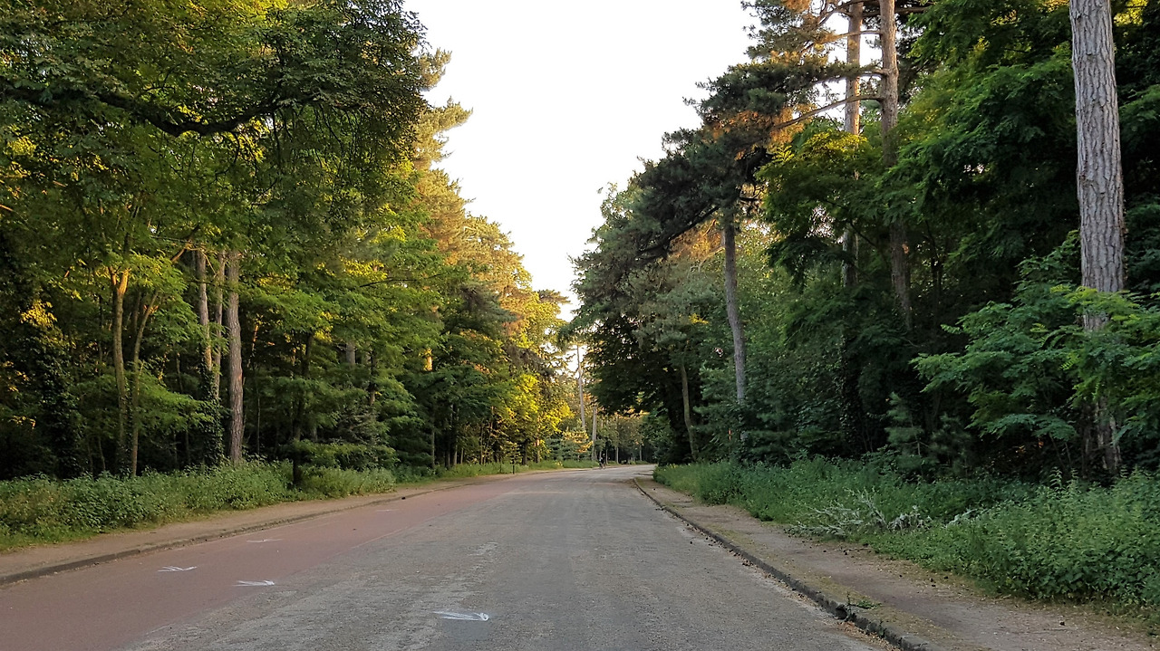 20180630_201457 (2).jpg