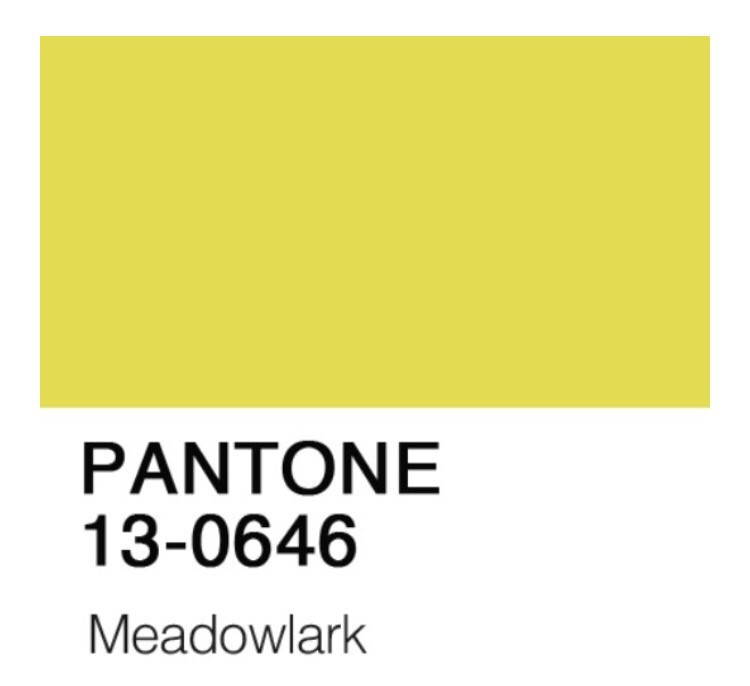 팬톤 노랑.jpg