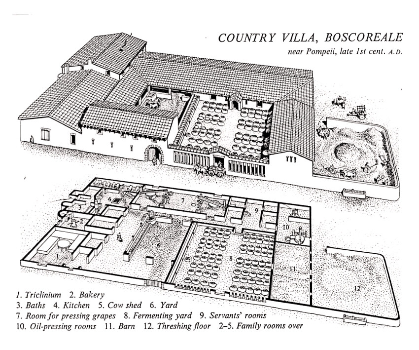 04_roman vila_edit.jpg