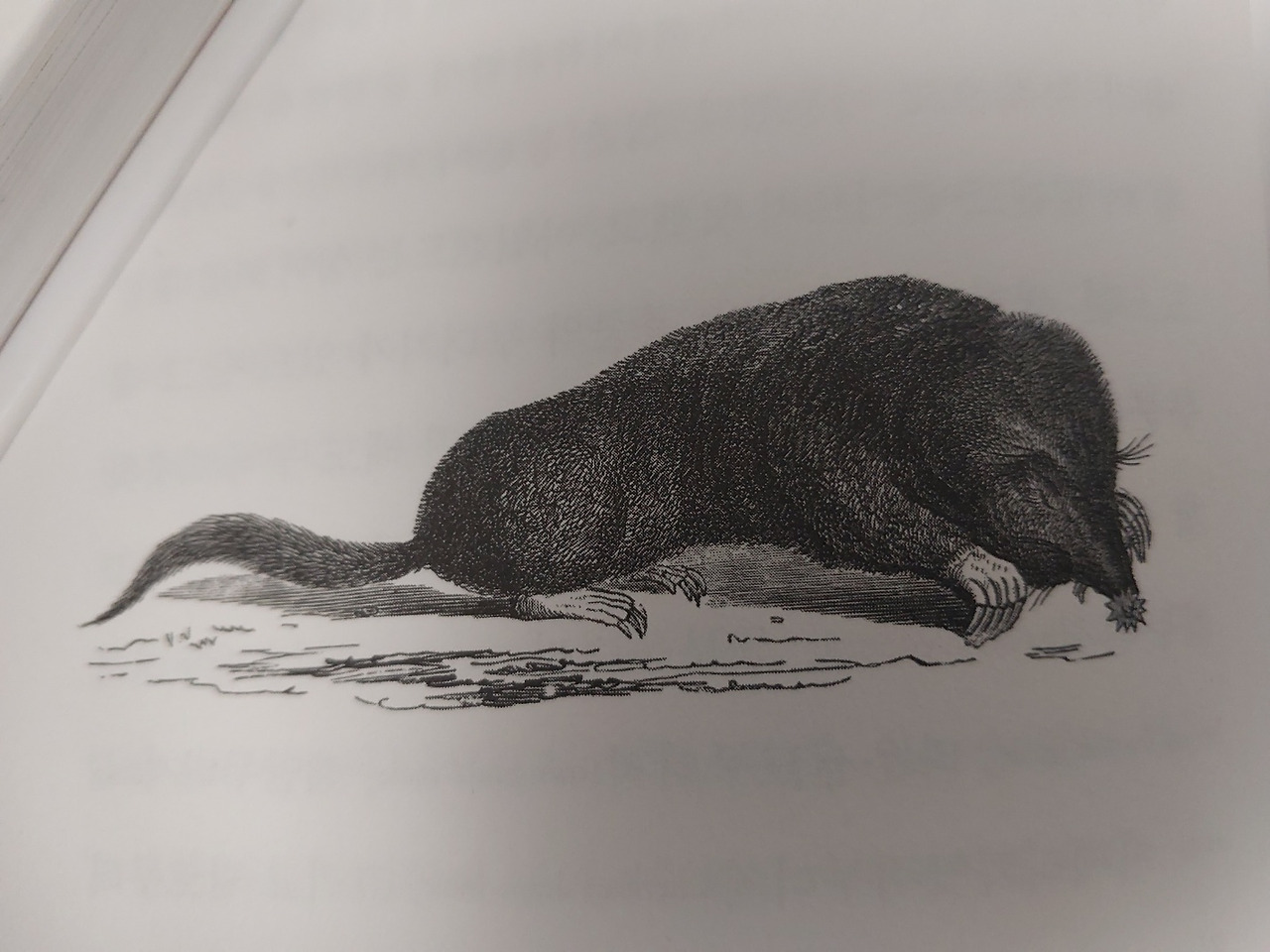 KakaoTalk_20240206_213406375_01 (1).jpg