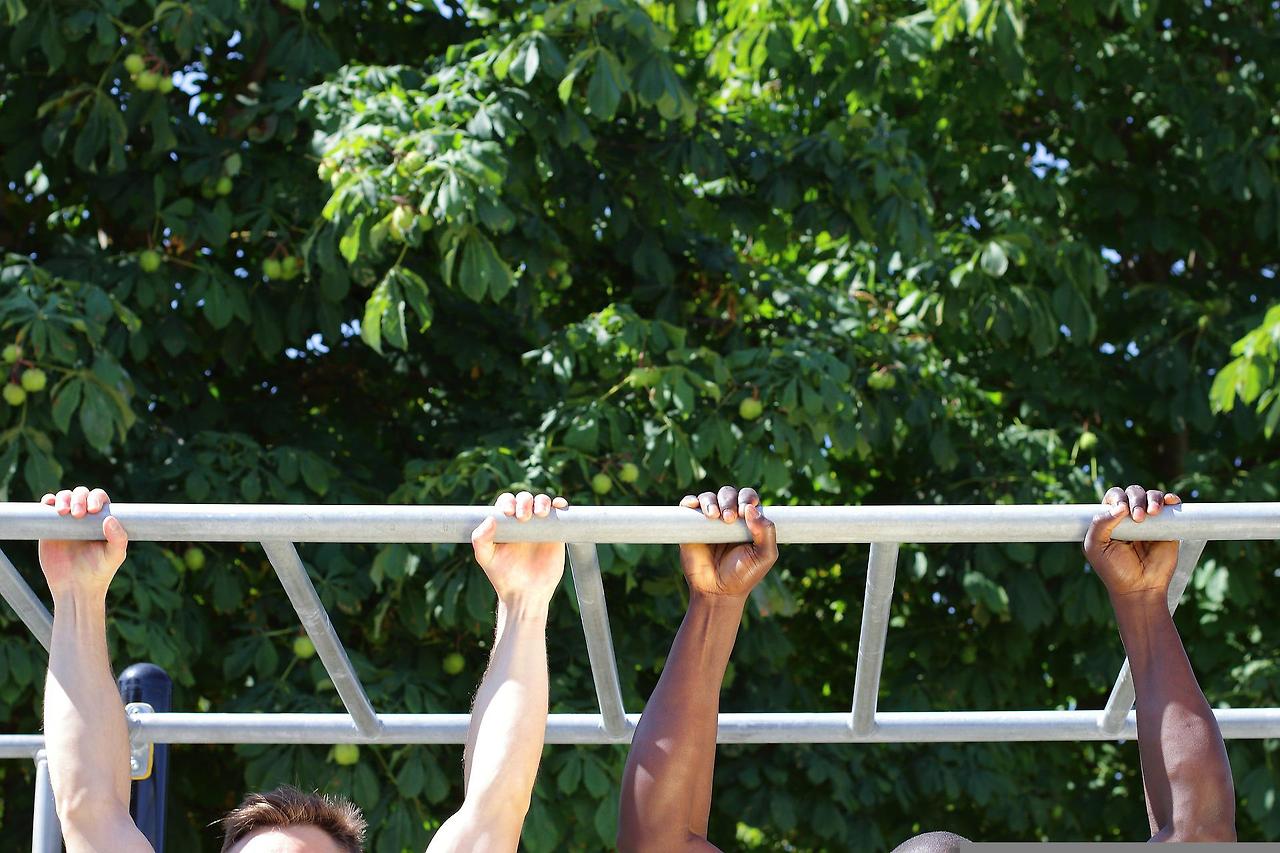 monkey-bars-6750242_1920.jpg