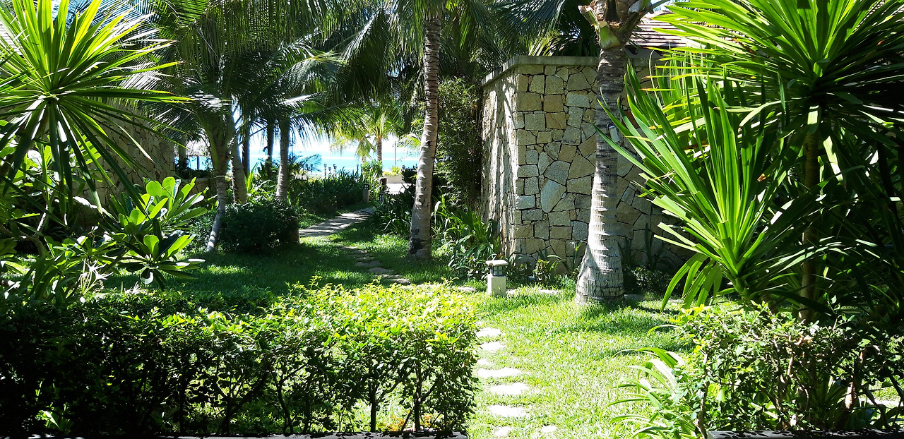 나는 꿈속에 살고 있다.jpg