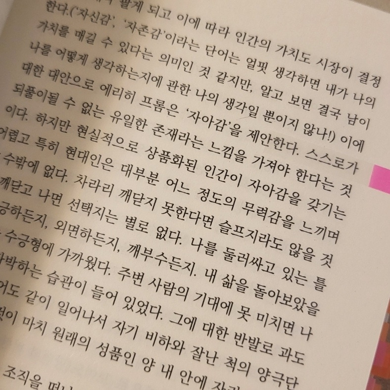 KakaoTalk_20250802_212932003_01 (1).jpg