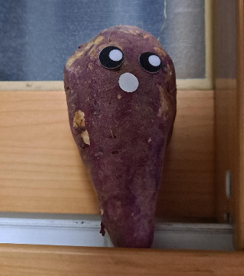 20211001_234204 (2).jpg