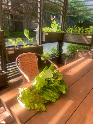 KakaoTalk_20250622_101942969_03 - 복사본 - 복사본 - 복사본.jpg