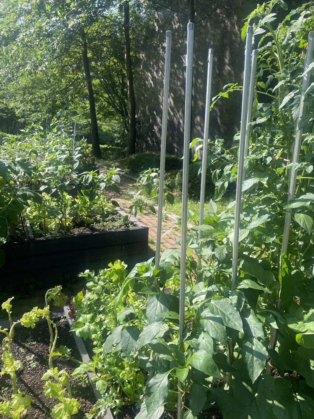 KakaoTalk_20250622_101942969_05 - 복사본 - 복사본 - 복사본.jpg