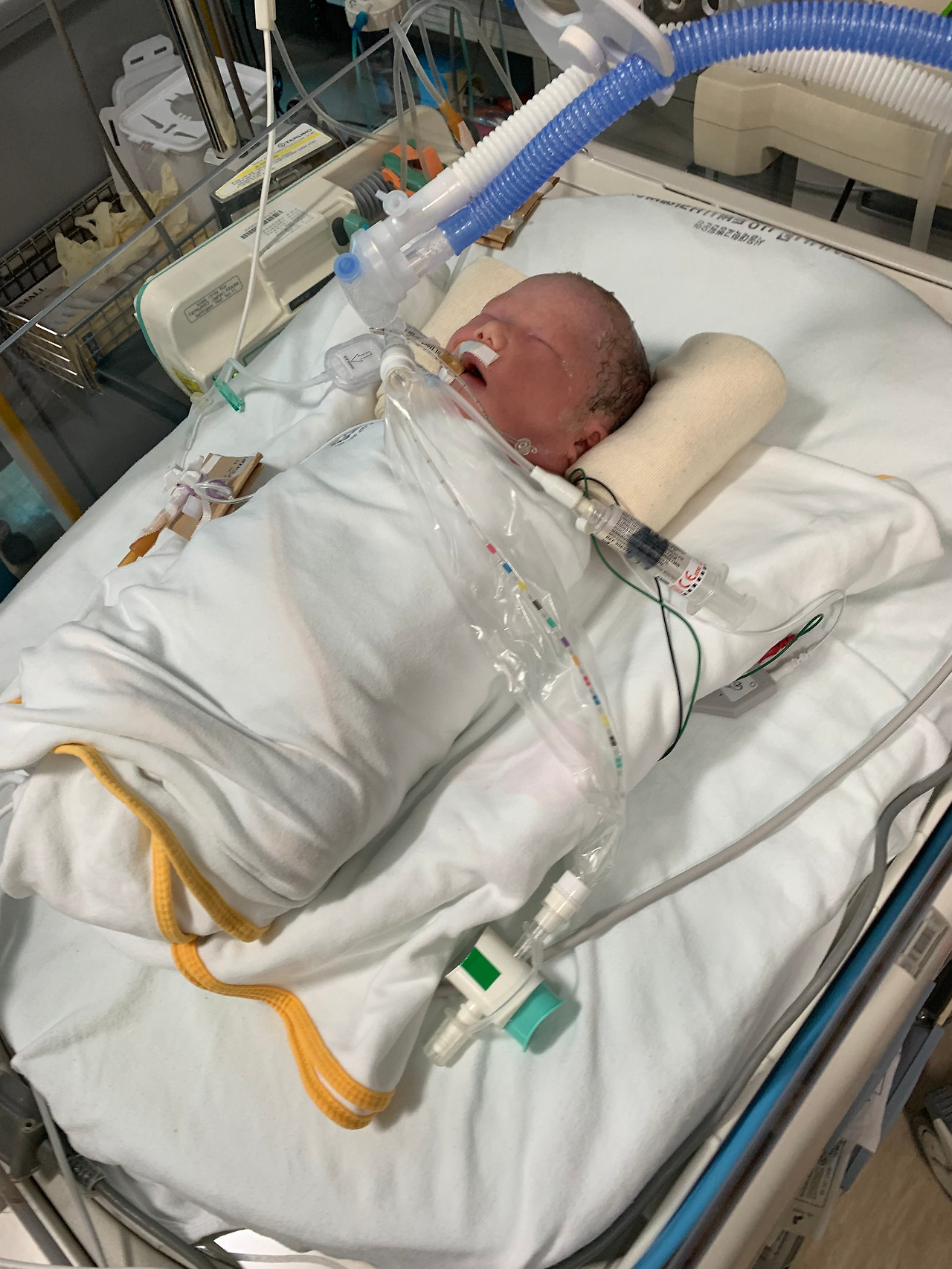 연우 출생출생출생.jpg