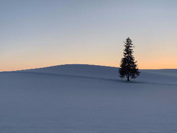 IMAGE 2019-02-07 16:34:25.jpg