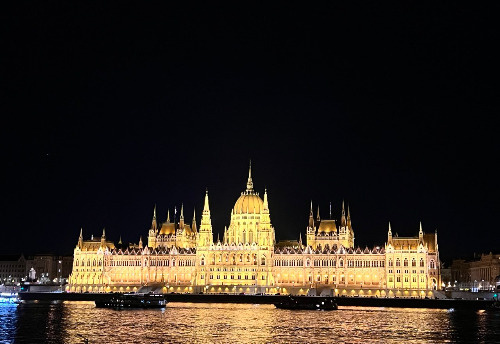 IMAGE 2025-01-13 00:14:46.jpg