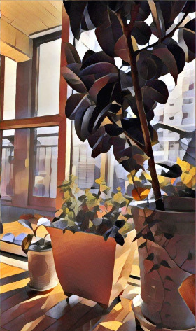 IMAGE 2019-02-26 13:44:55.jpg