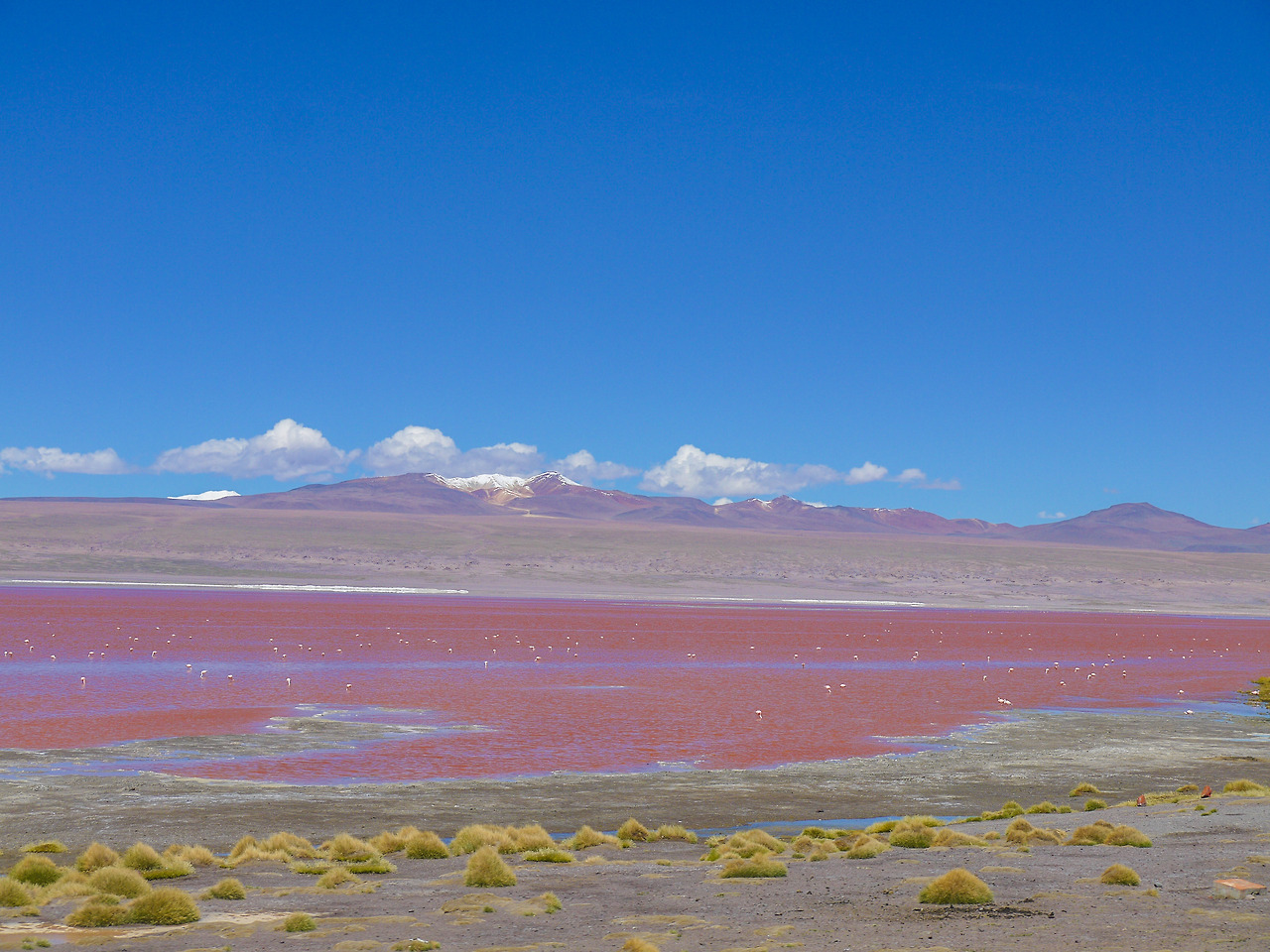 4 라구나 콜로라다 (2).jpg