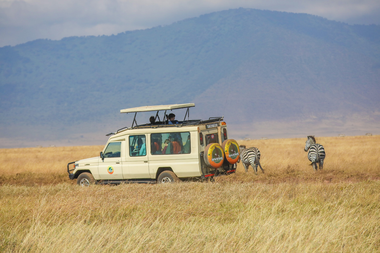 세렝게티 (29).jpg