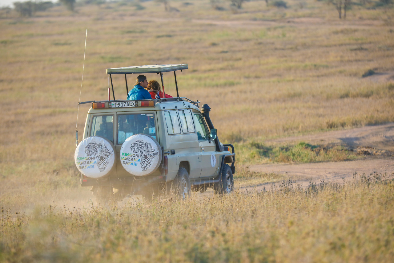 세렝게티 (22).jpg