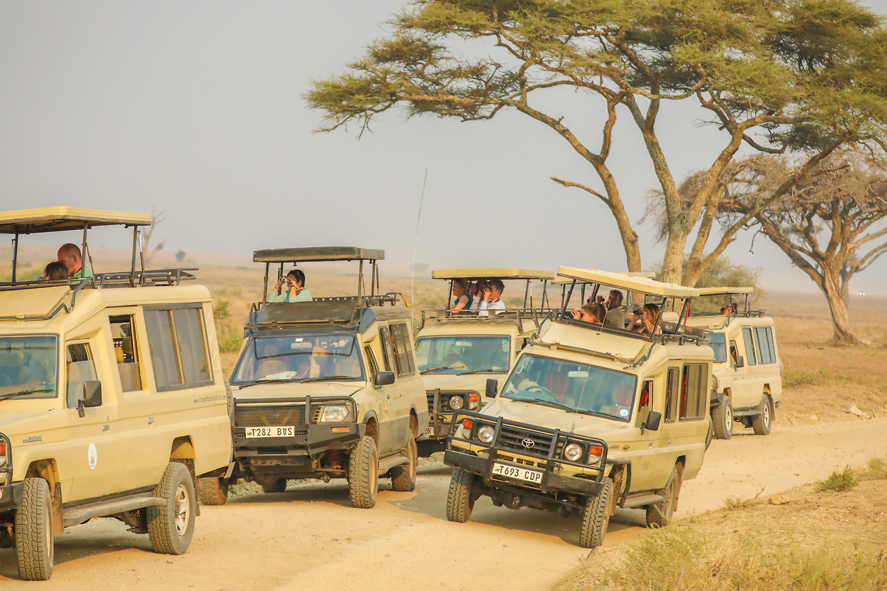 세렝게티 (15).jpg