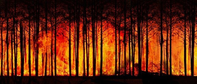 forest-fire-3836834_640.jpg