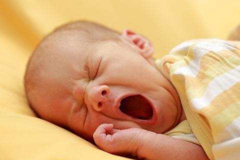 1280px-Yawning_Infant_August_2018.jpg