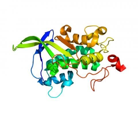 1024px-Protein_NPC1_PDB_3GKH.jpg