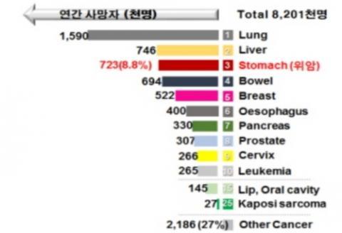 n전세계위암.jpg