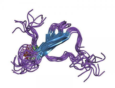 PDB_1i8h_EBI.jpg