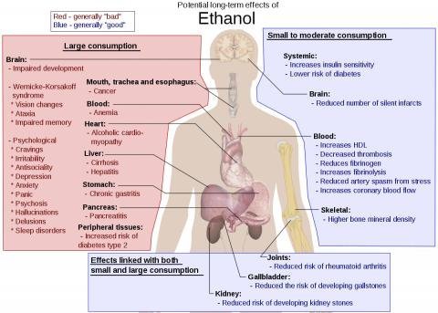 1200px-Possible_long-term_effects_of_ethanol.jpg