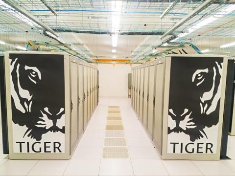 tiger-logo-machine-room1.jpg