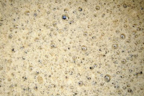 1280px-2009-03-21_Beer_brewing_bubbles.jpg