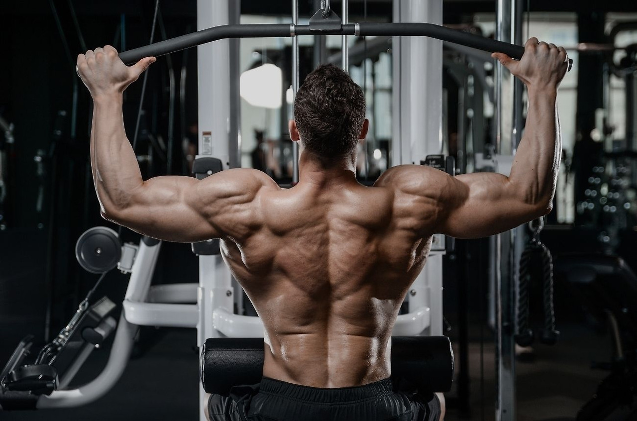 6261a4c63809c8dbff9420f8_back exercises at gym by cult.fit.jpg