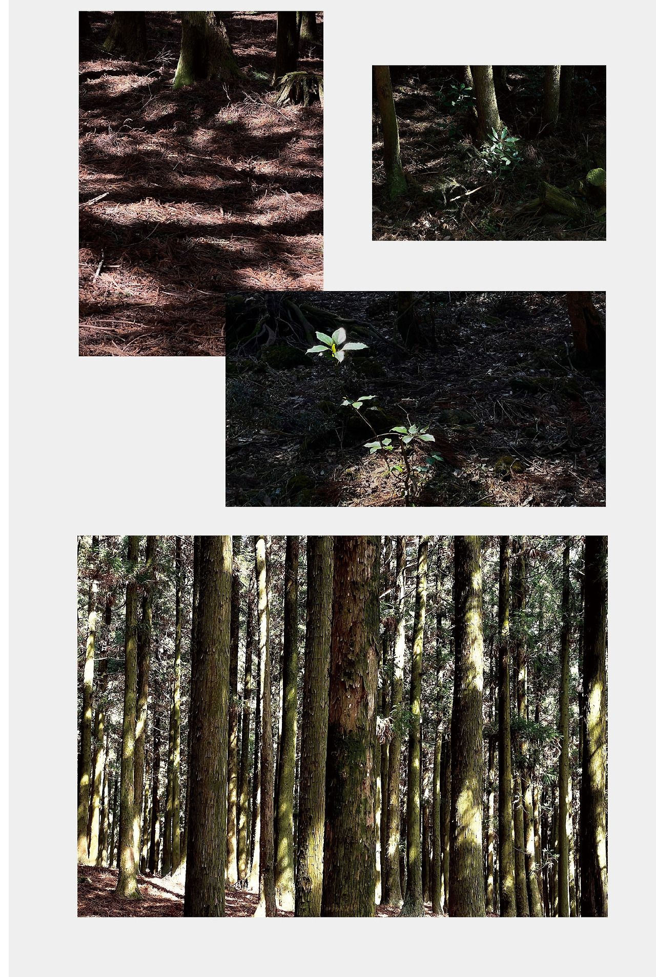 상세페이지 (수정-03 (3).jpg