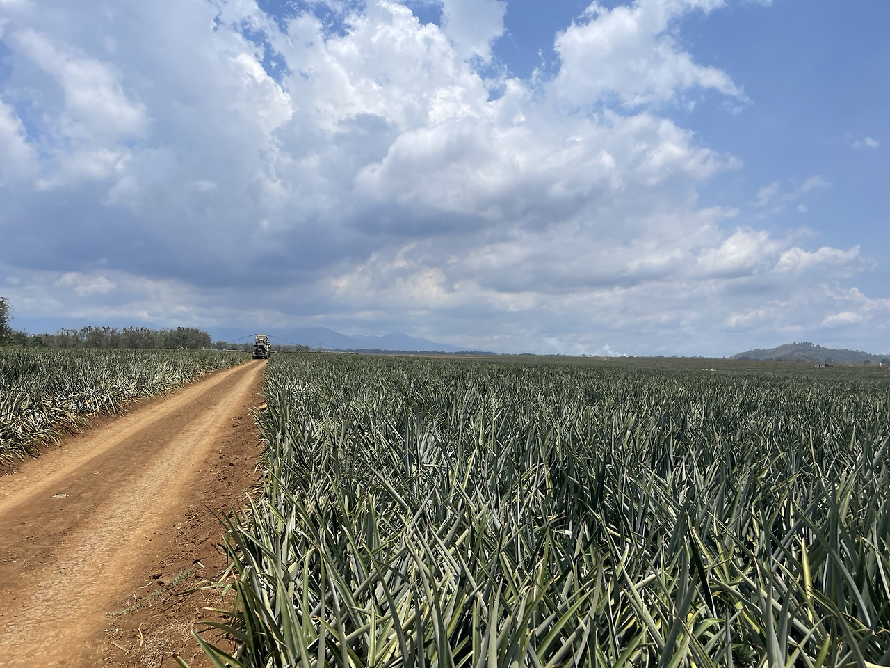 240601 사라지지않는것.jpg