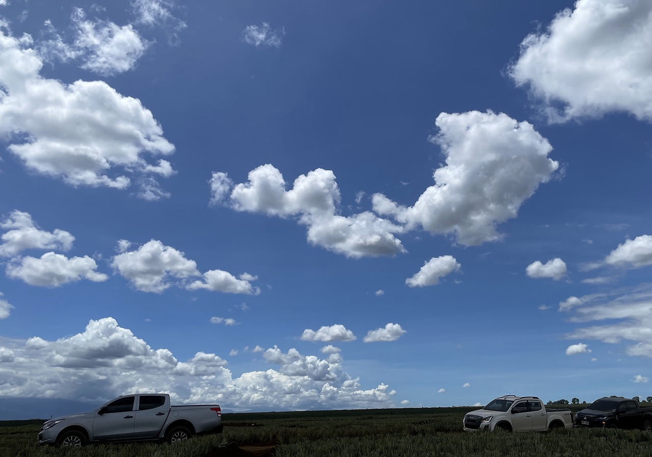 240615_지루한 하늘.jpg