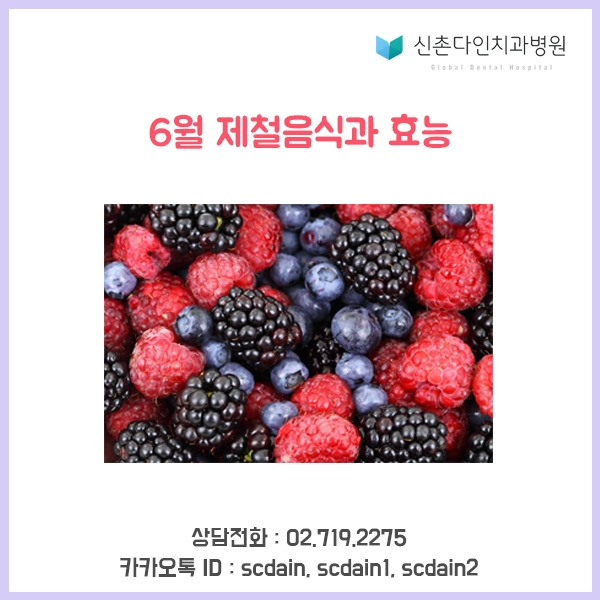 신촌_6월제철음식 표지.jpg