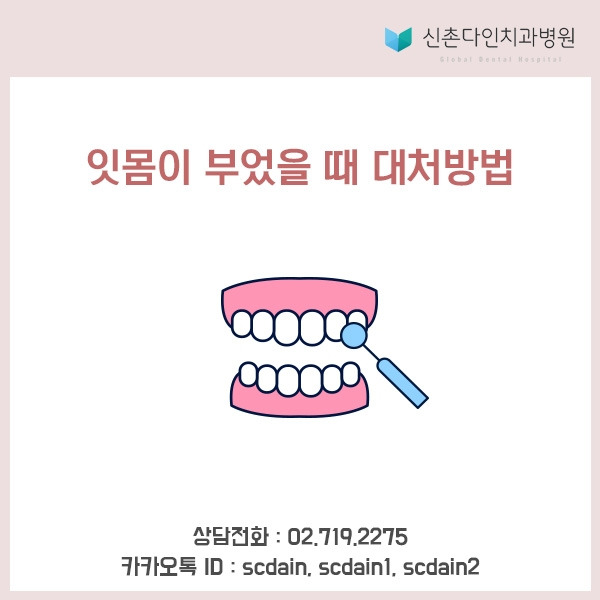 신촌_ 잇몸부음 표지.jpg