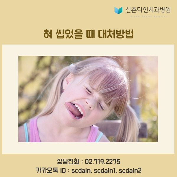 신촌_혀 씹었을때 표지.jpg