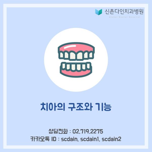 신촌_치아구조,기능 표지.jpg