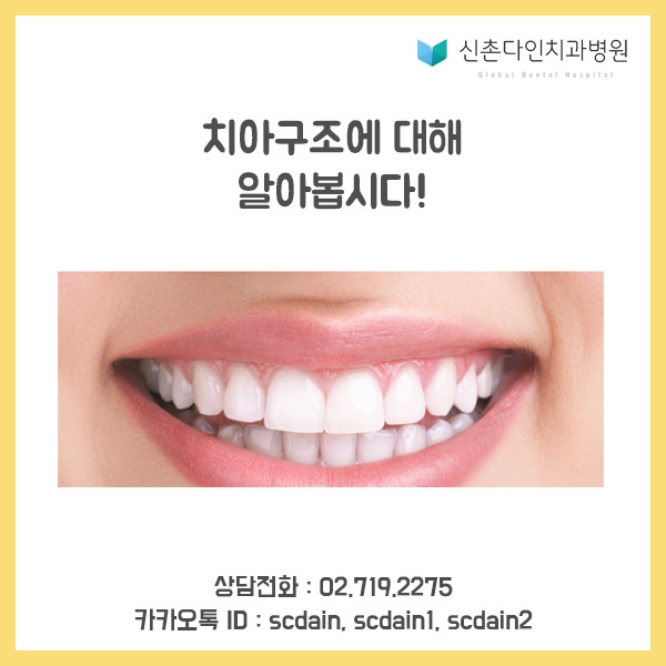 신촌_치아구조 표지.jpg