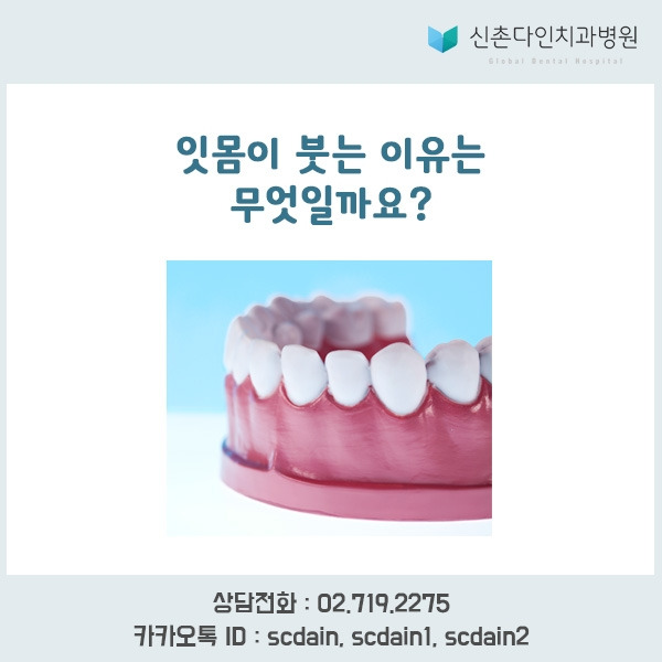 신촌_ 잇몸 붓는이유 표지.jpg