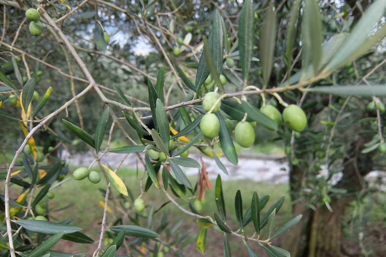 2017 夏休み_135.jpg